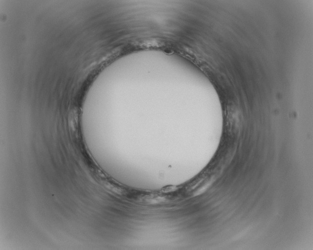 X0000077370747200611171948