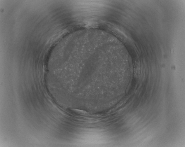 X0000077370748200611171948