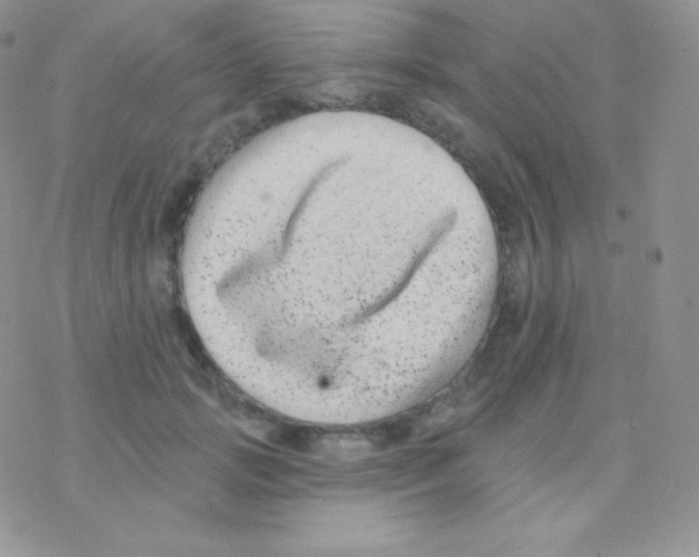 X0000077370749200611171948