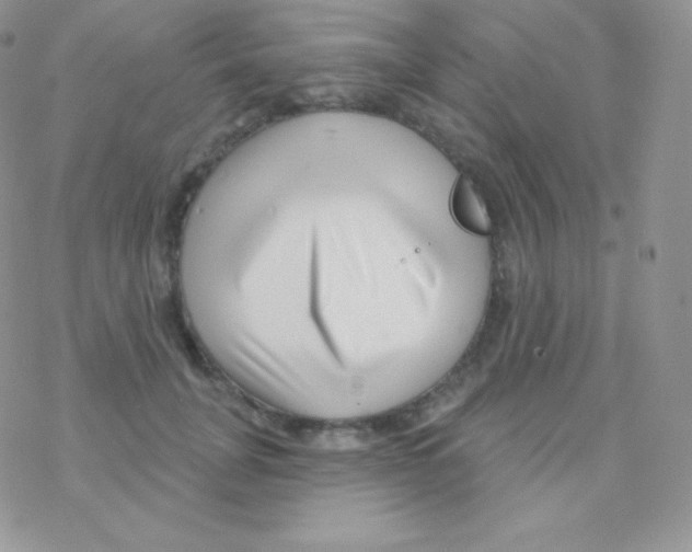 X0000077370751200611171948