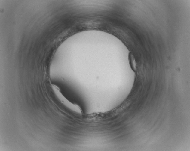 X0000077370752200611171948