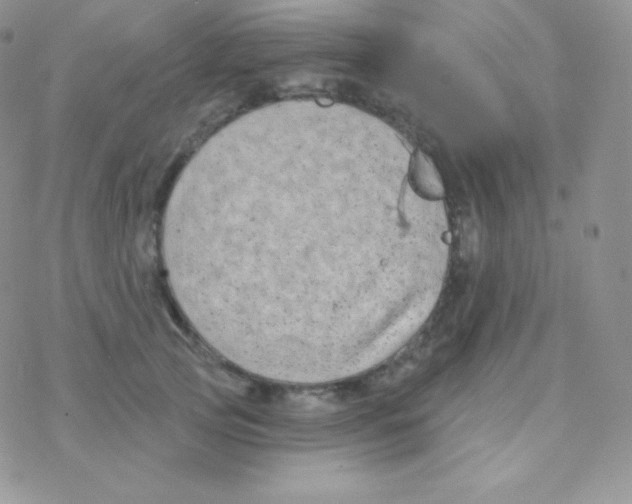 X0000077370753200611171948