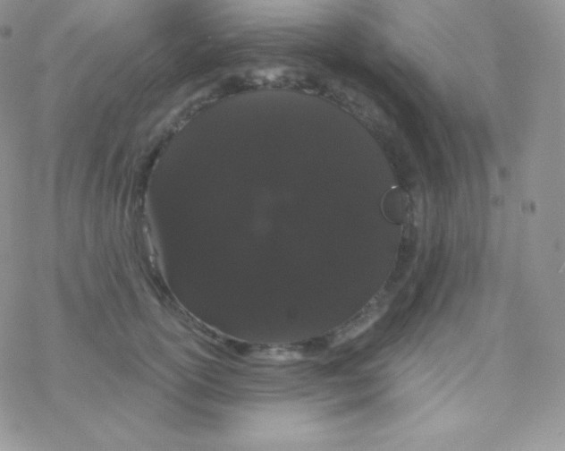 X0000077370754200611171948