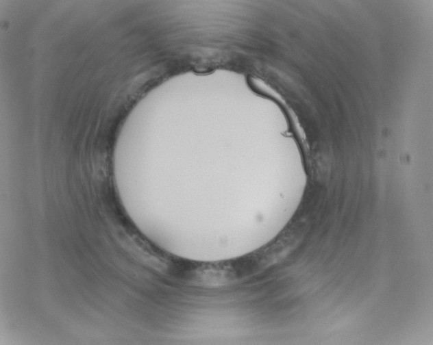 X0000077370756200611171949