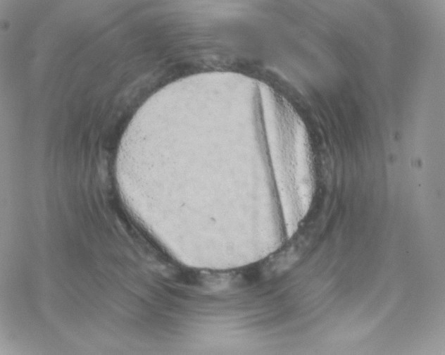 X0000077370757200611171949