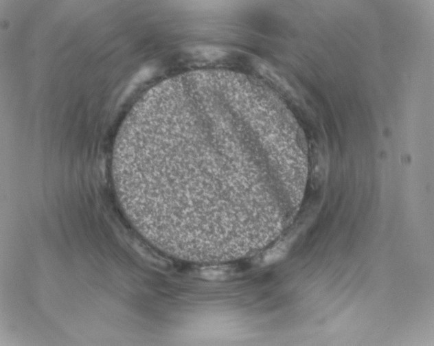 X0000077370758200611171949