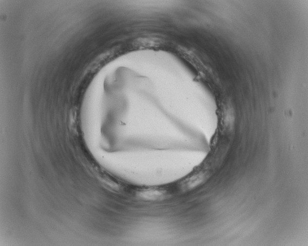 X0000077370759200611171949