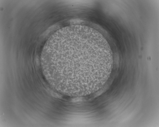 X0000077370761200611171949