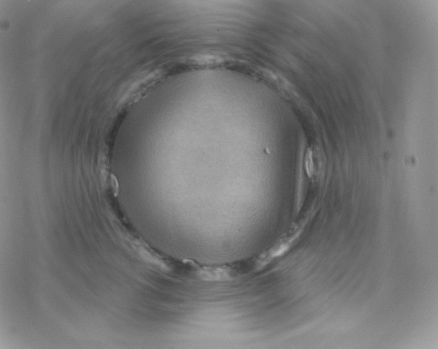 X0000077370762200611171949