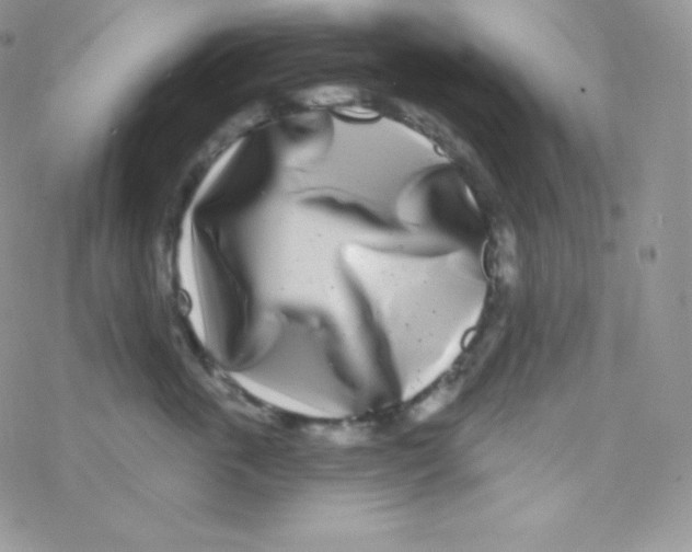 X0000077370763200611171949