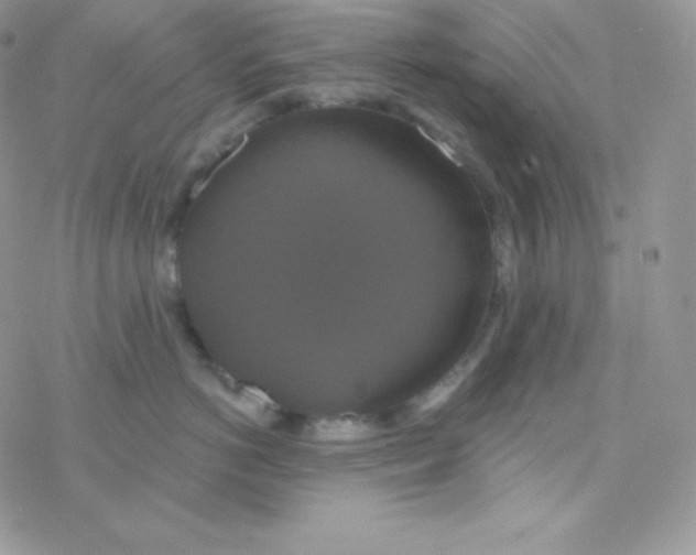 X0000077370766200611171949