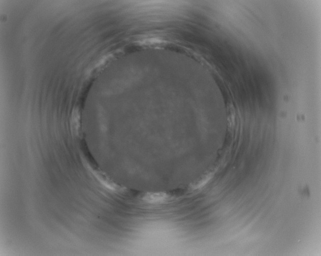 X0000077370767200611171949