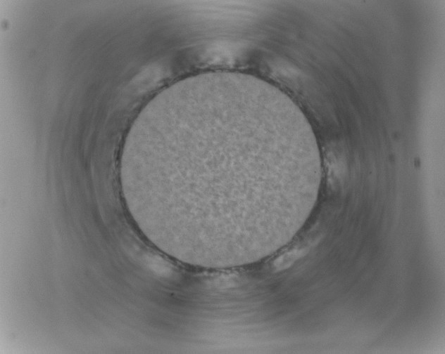 X0000077370769200611171948