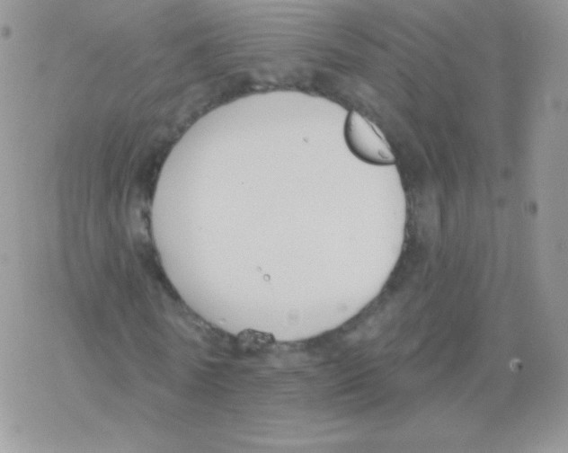 X0000077370770200611171948