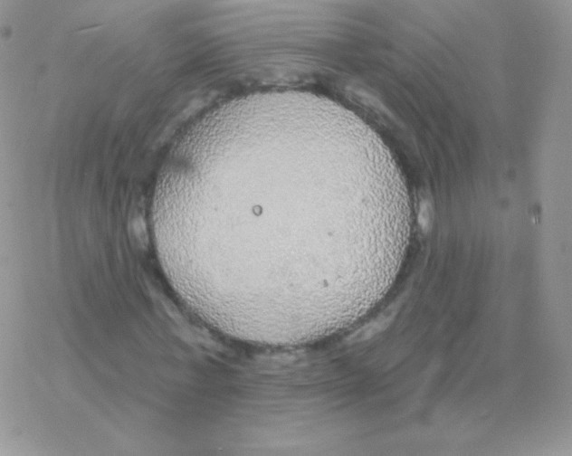 X0000077370771200611171948