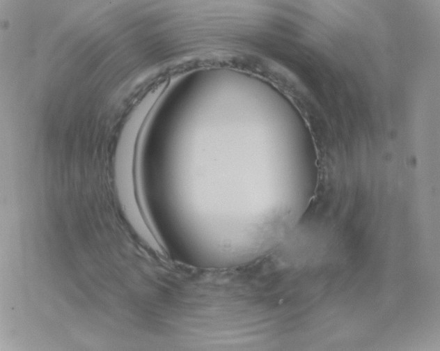 X0000077370773200611171948