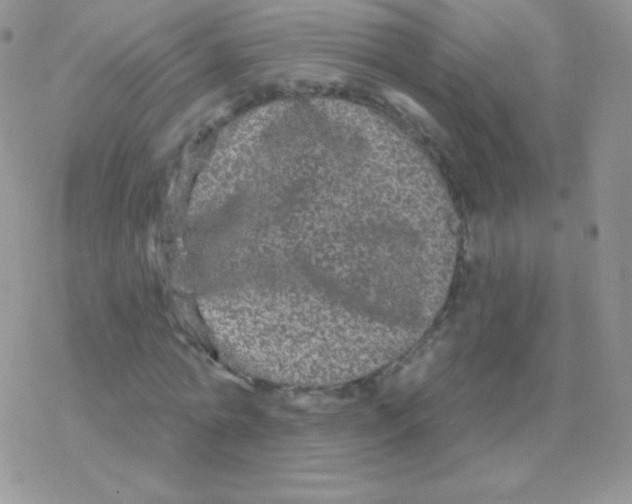 X0000077370774200611171948