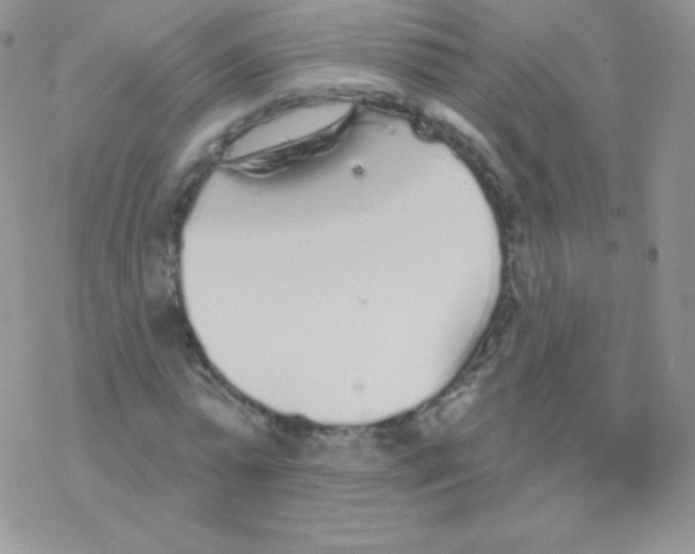 X0000077370775200611171948