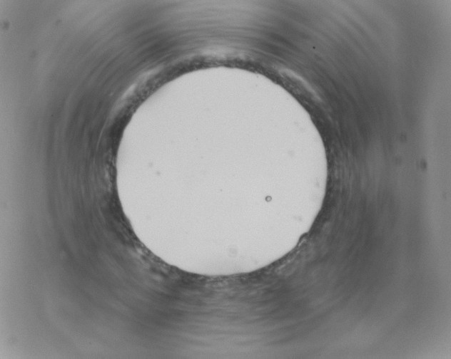 X0000077370776200611171948