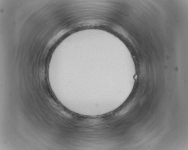 X0000077370778200611171948