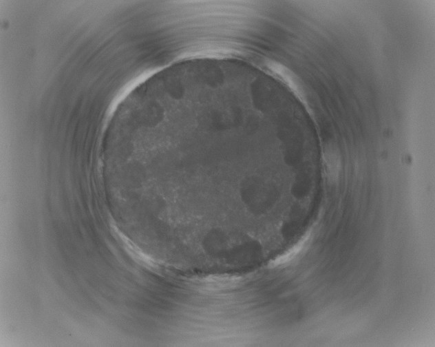 X0000077370779200611171948