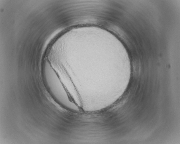 X0000077370780200611171948