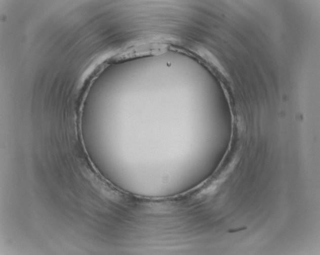 X0000077370781200611171948