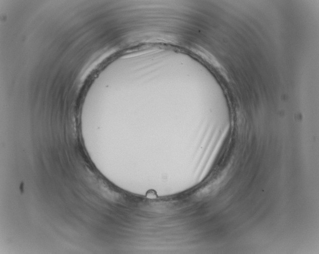 X0000077370782200611171948