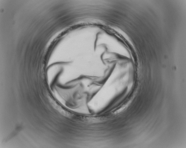 X0000077370783200611171948