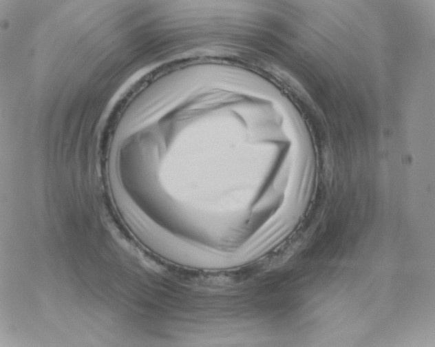 X0000077370784200611171948