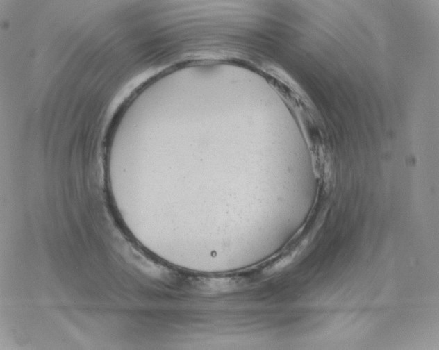 X0000077370787200611171948