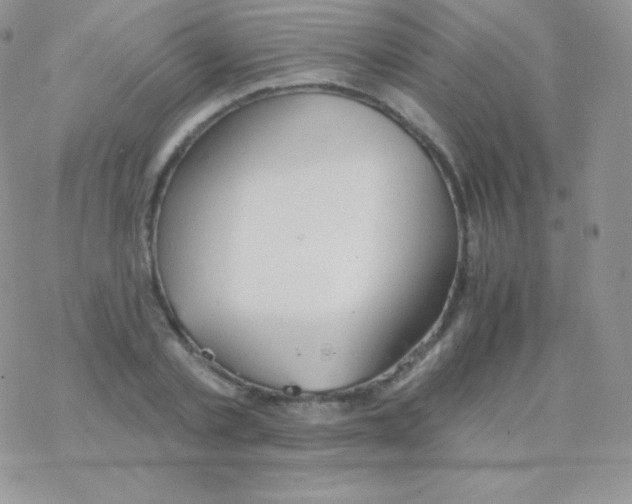 X0000077370789200611171948