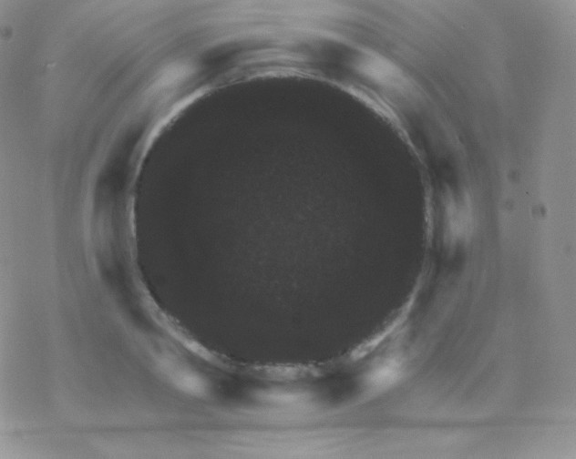 X0000077370790200611171948