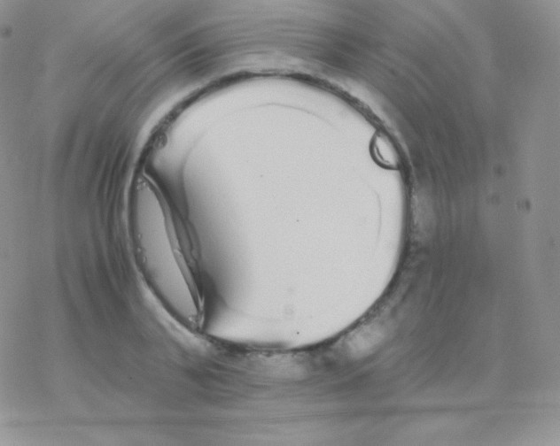 X0000077370791200611171948