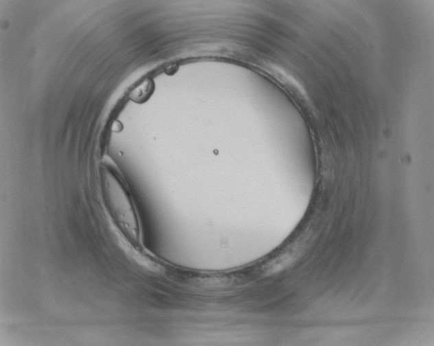 X0000077370792200611171948