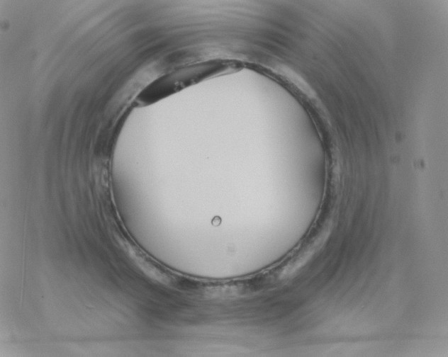 X0000077370793200611171948