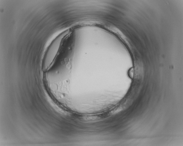 X0000077370795200611171948