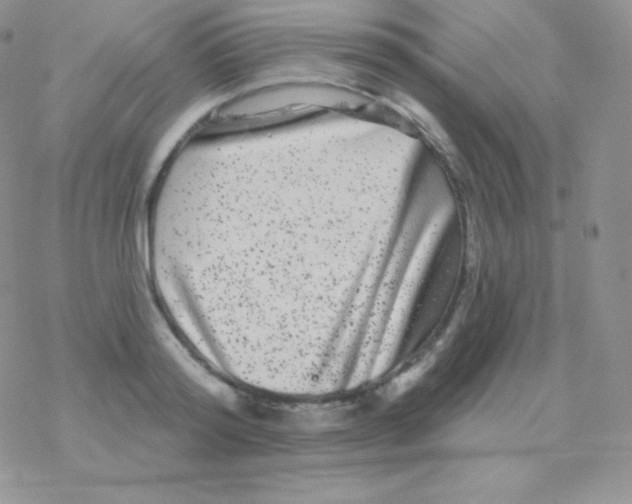 X0000077370796200611171947