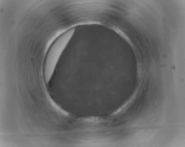 X0000077370797200611171947