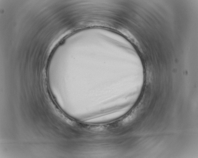 X0000077370798200611171947