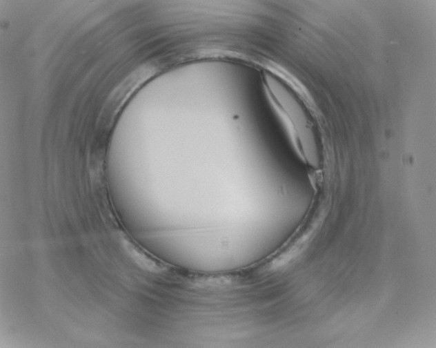 X0000077370801200611171947