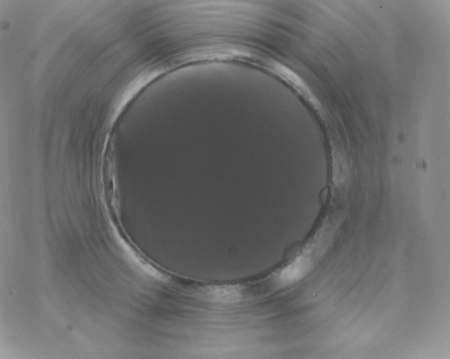 X0000077370802200611171947