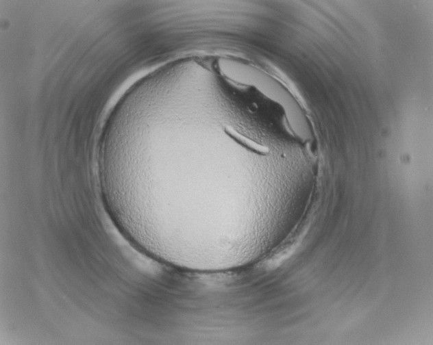 X0000077370803200611171947