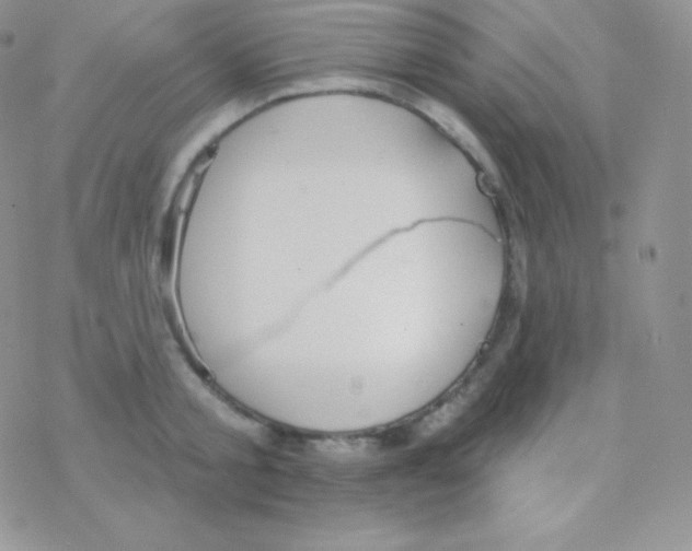 X0000077370805200611171947