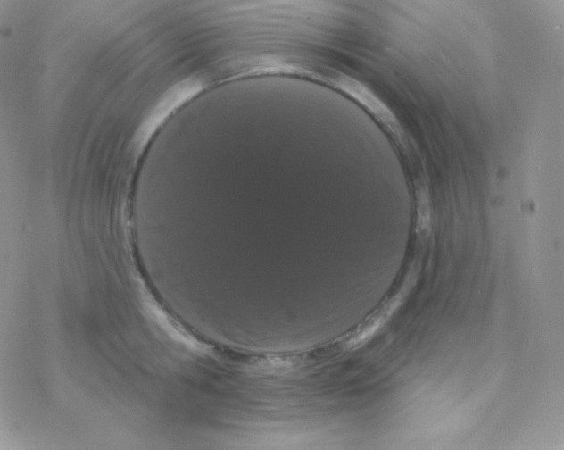 X0000077370806200611171947