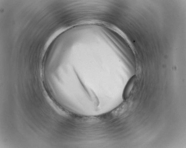 X0000077370811200611171947