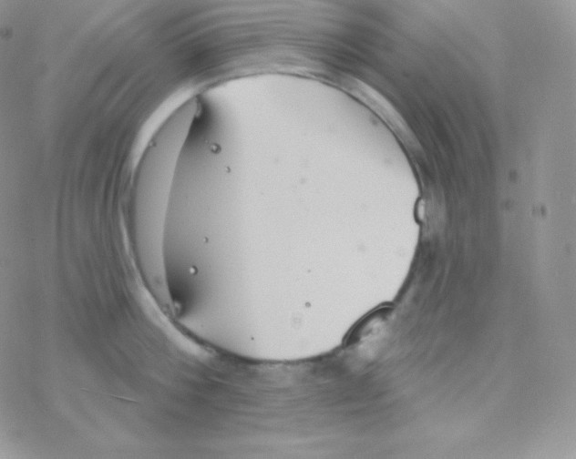 X0000077370812200611171947