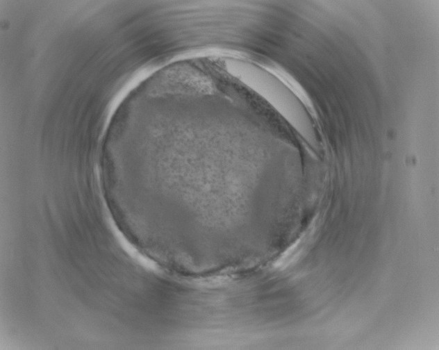 X0000077370813200611171947