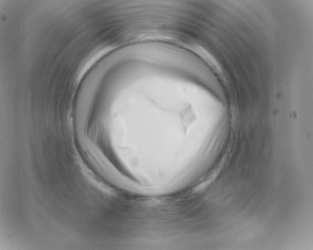 X0000077370814200611171947