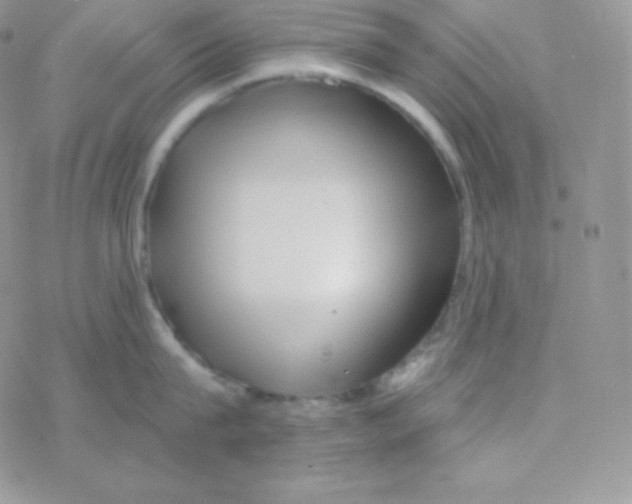 X0000077370815200611171947